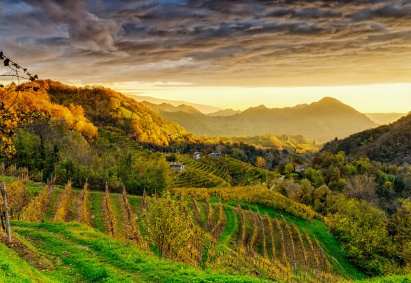 Wine testing tours - immagine 3