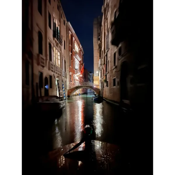 Tour discovering Venetian Island Murano Burano e Torcello - immagine 3