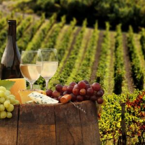 Wine testing tours