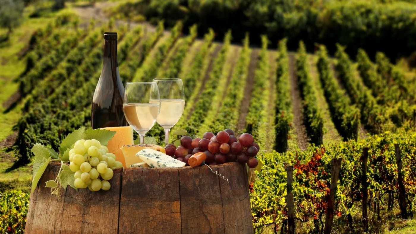 Wine testing tours